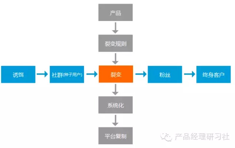 微信小程序开发：让生活更便捷的小秘密